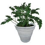 Maceta cónica de polietileno CC43 para exterior